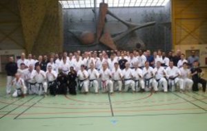 Stage de Karaté contact avec Dominique Valéra