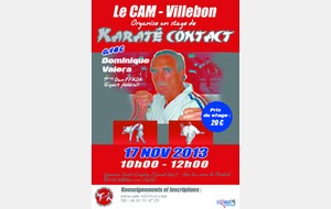 Stage de Karaté contact avec Dominique Valéra