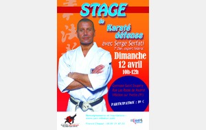 Stage Karaté Défense è Serge Serfati