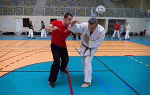 MasterClass self-défense: Karaté défense, Kali, Boxe de rue