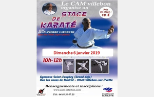 Stage de Karaté avec Jean Pierre Lavorato 9ème Dan