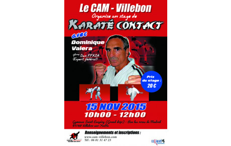 Stage avec Dominique Valéra