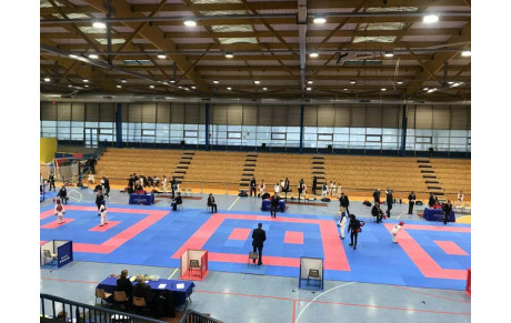 Coupe Essonne Combat Pupilles/Benjamins/Minimes